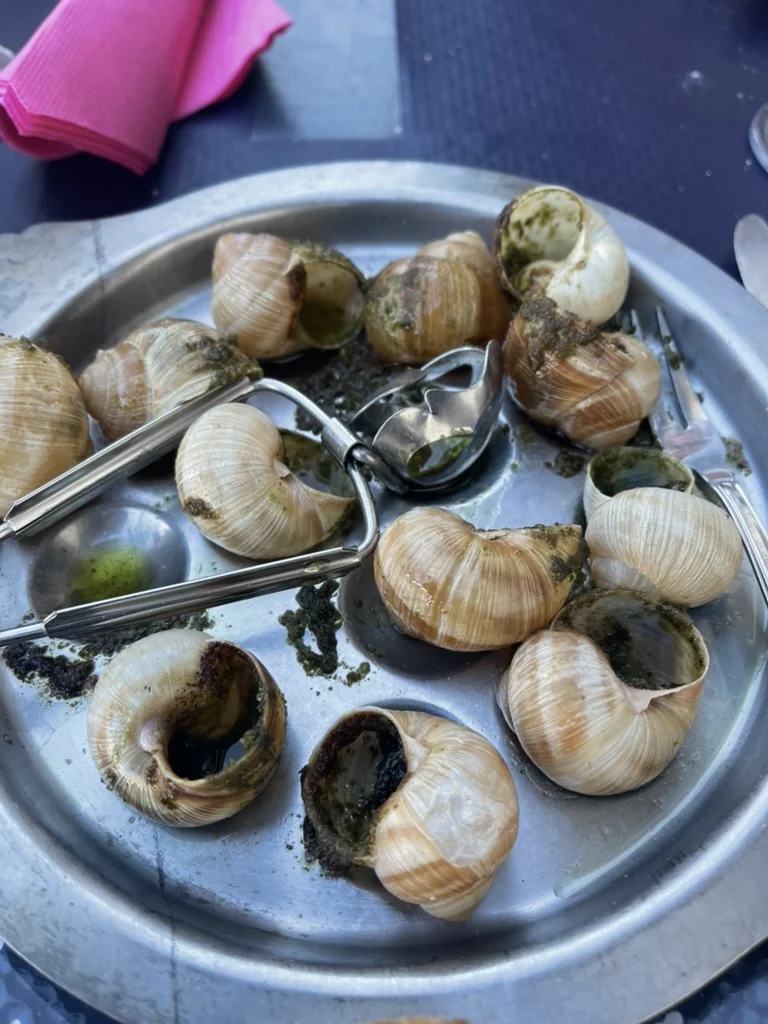 Une assiette d’escargots français servis dans leur coquille