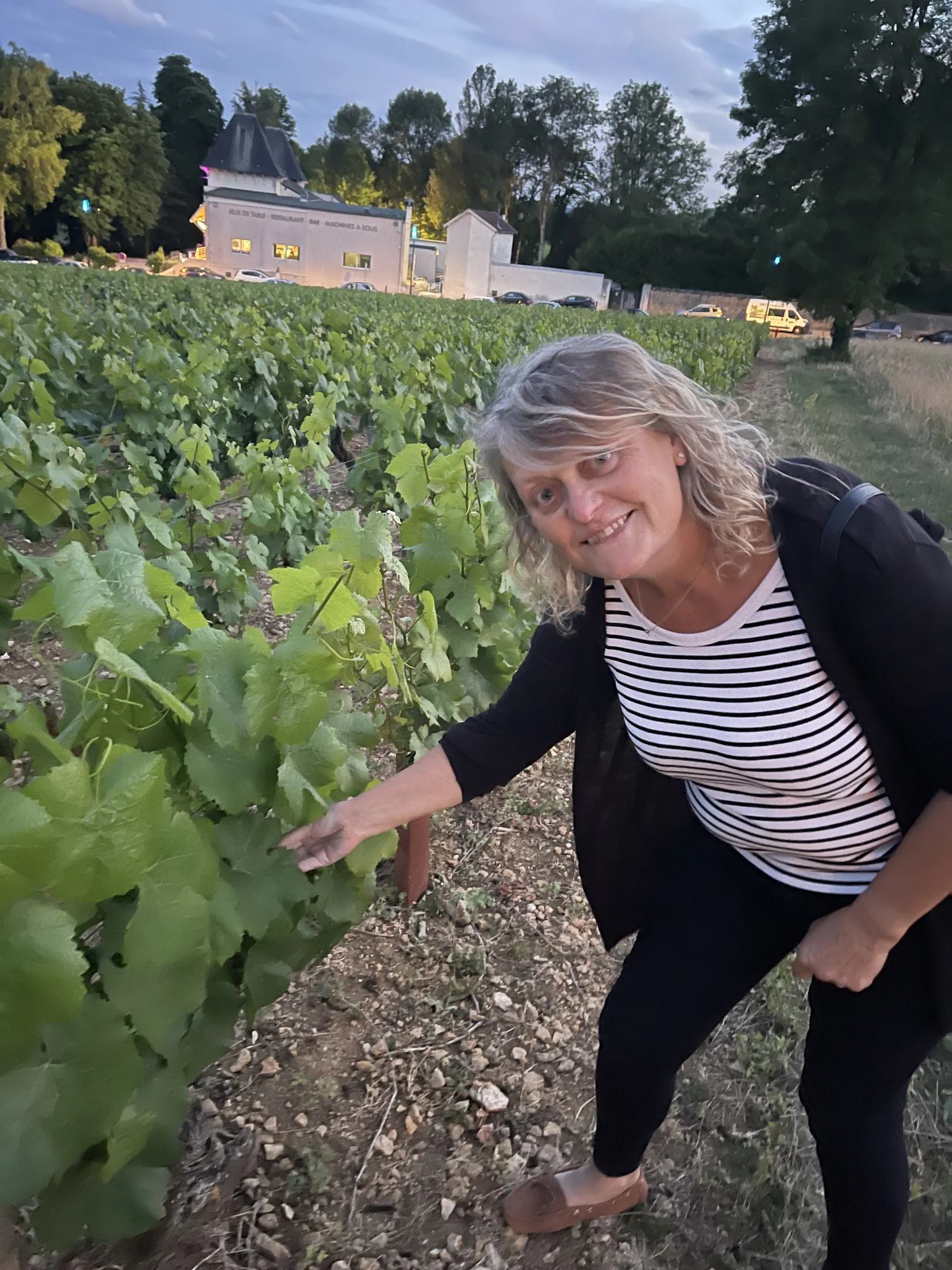 Kaz sourit au milieu des vignes de Santenay