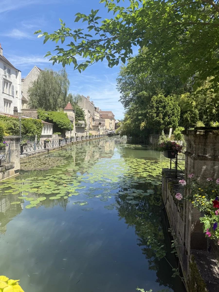 Des maisons verdoyantes au bord de l’eau et leurs reflets le long d’une petite voie d’eau à Dole